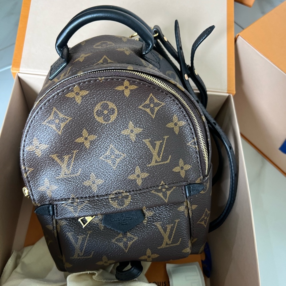 Louis Vuitton Palm Springs Mini